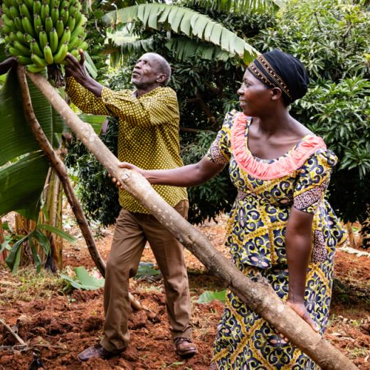 Man en vrouw met tros bananen